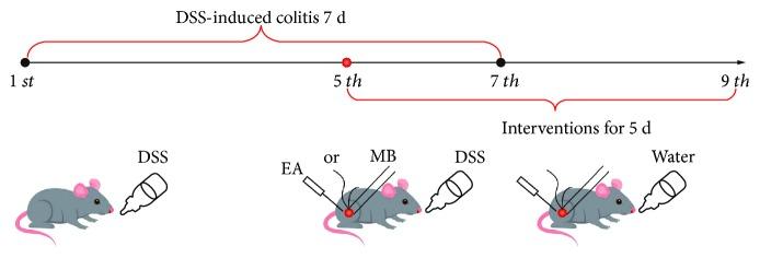 https://cdn.ncbi.nlm.nih.gov/pmc/blobs/089d/6383400/46d61f47c79e/GRP2019-2345890.001.jpg