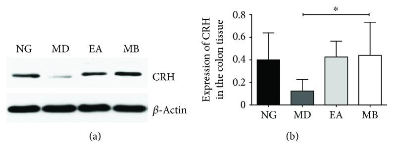 https://cdn.ncbi.nlm.nih.gov/pmc/blobs/089d/6383400/ac9d6859c685/GRP2019-2345890.006.jpg
