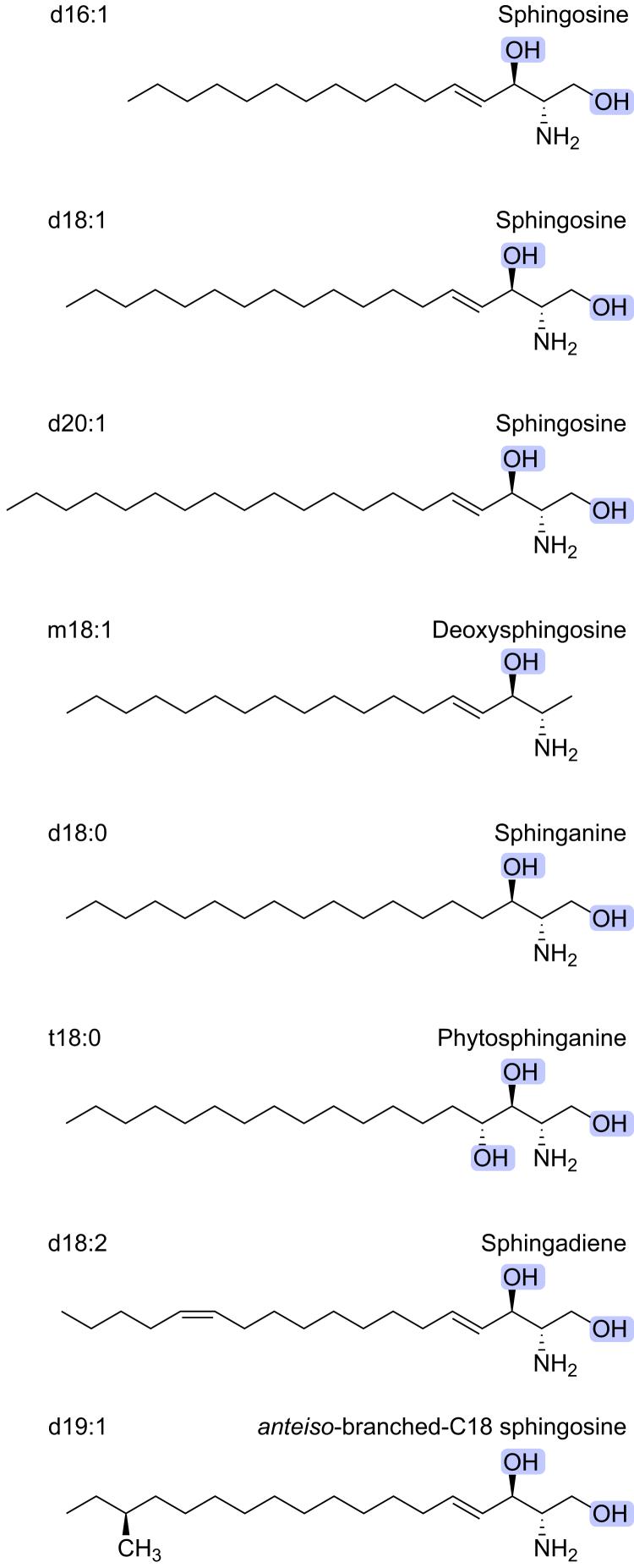 https://cdn.ncbi.nlm.nih.gov/pmc/blobs/089e/12269495/c74fa668f553/gr1.jpg