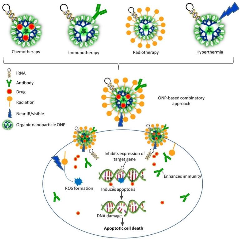 https://cdn.ncbi.nlm.nih.gov/pmc/blobs/089f/8839643/021dc1b5924e/nanomaterials-12-00457-g008.jpg