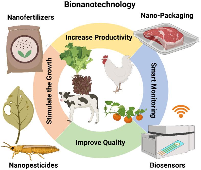https://cdn.ncbi.nlm.nih.gov/pmc/blobs/089f/8839643/03bd0e7c92f5/nanomaterials-12-00457-g012.jpg