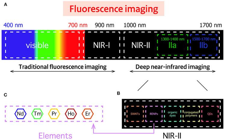 https://cdn.ncbi.nlm.nih.gov/pmc/blobs/089f/8839643/148048b3a613/nanomaterials-12-00457-g003.jpg