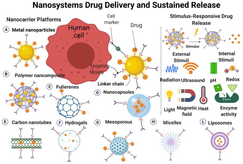 https://cdn.ncbi.nlm.nih.gov/pmc/blobs/089f/8839643/3a2ad4470745/nanomaterials-12-00457-g005.jpg