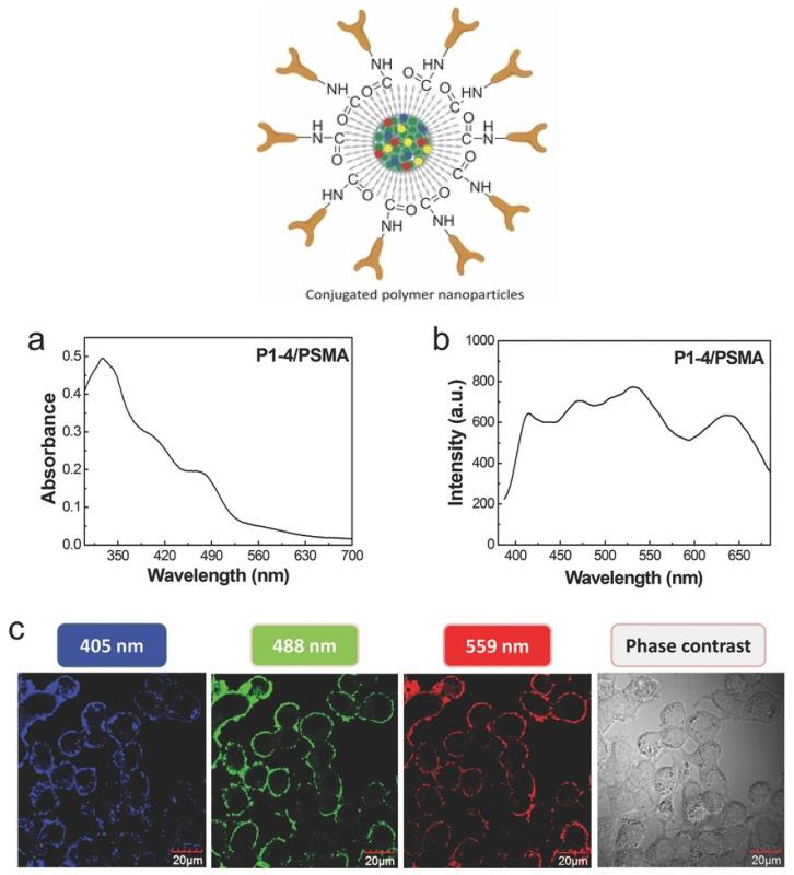 https://cdn.ncbi.nlm.nih.gov/pmc/blobs/089f/8839643/6caec853cd8c/nanomaterials-12-00457-g004.jpg