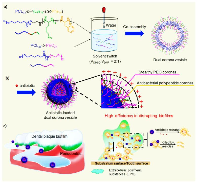 https://cdn.ncbi.nlm.nih.gov/pmc/blobs/089f/8839643/ac79ecbcf561/nanomaterials-12-00457-g010.jpg