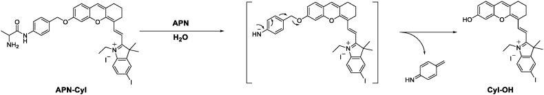 https://cdn.ncbi.nlm.nih.gov/pmc/blobs/08a0/7196320/f3dfc5f08ab0/sc2_lrg.jpg
