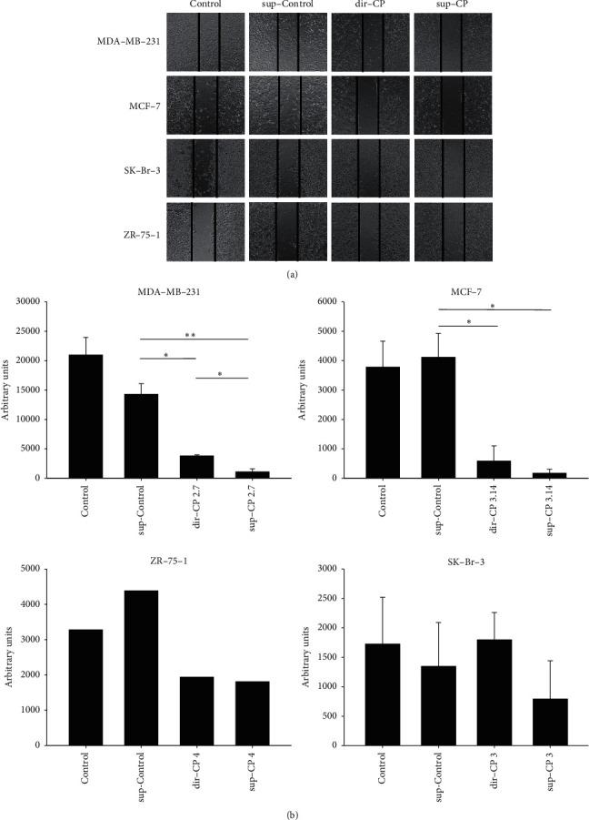 https://cdn.ncbi.nlm.nih.gov/pmc/blobs/08a0/8172293/5028140399c5/ECAM2021-6665949.005.jpg