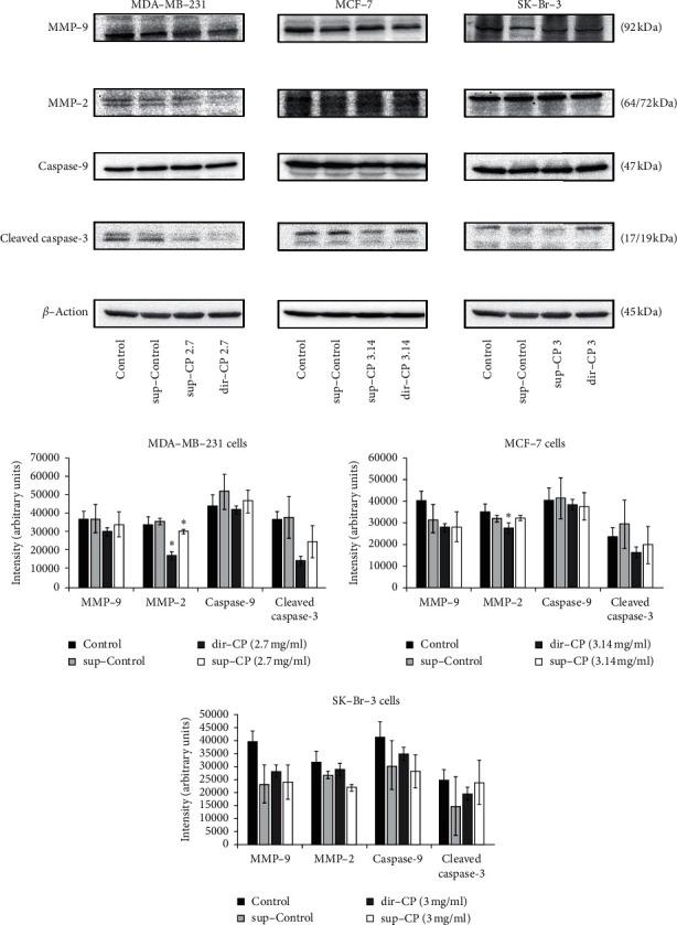 https://cdn.ncbi.nlm.nih.gov/pmc/blobs/08a0/8172293/8679f2464786/ECAM2021-6665949.007.jpg