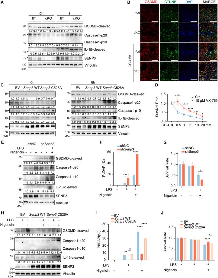https://cdn.ncbi.nlm.nih.gov/pmc/blobs/08a1/12335969/4ea02008762c/gr2.jpg