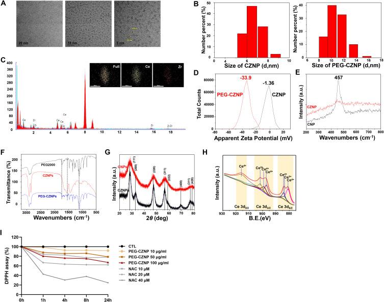 https://cdn.ncbi.nlm.nih.gov/pmc/blobs/08a2/12212437/601a093d97d2/IJN-20-8305-g0002.jpg