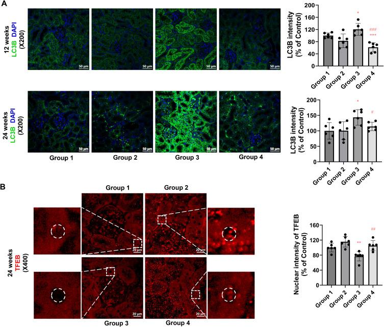 https://cdn.ncbi.nlm.nih.gov/pmc/blobs/08a2/12212437/b057012808a9/IJN-20-8305-g0010.jpg