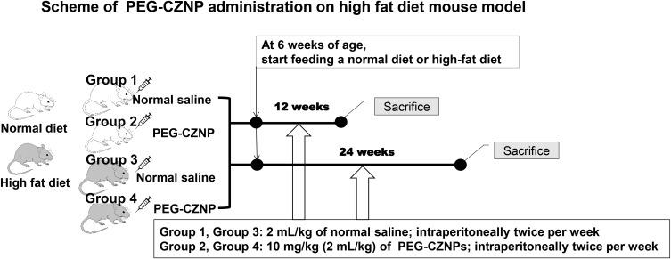 https://cdn.ncbi.nlm.nih.gov/pmc/blobs/08a2/12212437/b22246b217c4/IJN-20-8305-g0001.jpg