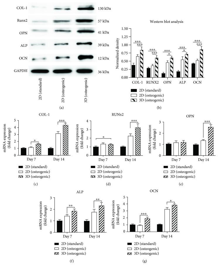 https://cdn.ncbi.nlm.nih.gov/pmc/blobs/08a4/6145055/7e21501c356e/SCI2018-2074021.006.jpg