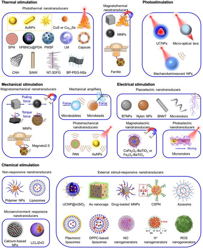 https://cdn.ncbi.nlm.nih.gov/pmc/blobs/08a5/11935292/76ea78e92241/SMSC-4-2400169-g004.jpg