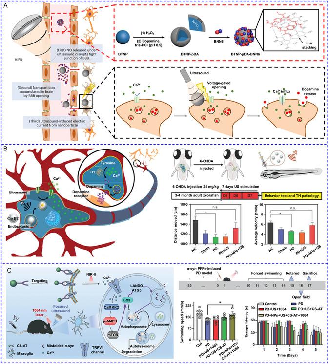 https://cdn.ncbi.nlm.nih.gov/pmc/blobs/08a5/11935292/e6f2778c5859/SMSC-4-2400169-g015.jpg