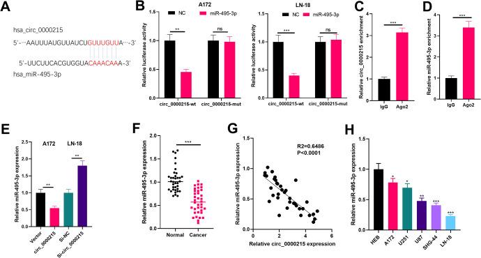 https://cdn.ncbi.nlm.nih.gov/pmc/blobs/08a5/7586024/3679af516df7/10.1177_1533033820957026-fig3.jpg