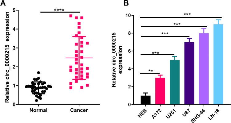 https://cdn.ncbi.nlm.nih.gov/pmc/blobs/08a5/7586024/ca400e209e16/10.1177_1533033820957026-fig1.jpg