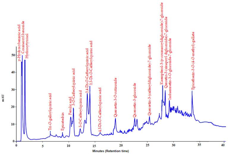 https://cdn.ncbi.nlm.nih.gov/pmc/blobs/08a6/9695446/3f0df7087dfe/molecules-27-07869-g001.jpg