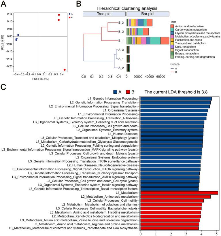 https://cdn.ncbi.nlm.nih.gov/pmc/blobs/08a7/11794204/592f45bcaac2/fmicb-16-1516594-g004.jpg