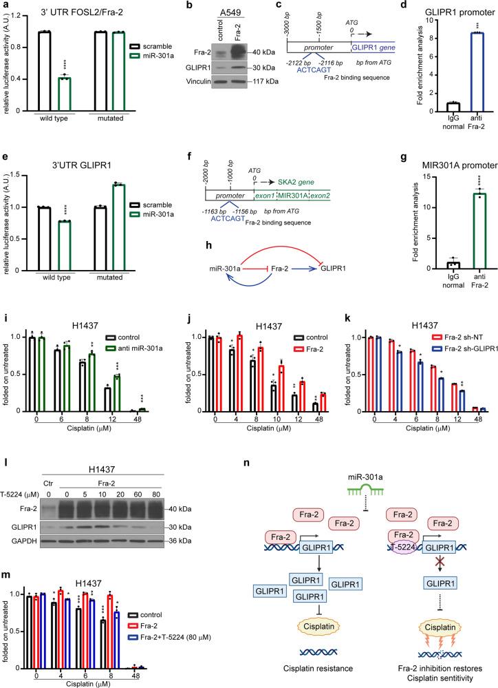 https://cdn.ncbi.nlm.nih.gov/pmc/blobs/08aa/9879967/c202146232e7/41392_2022_1228_Fig1_HTML.jpg