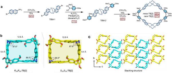 https://cdn.ncbi.nlm.nih.gov/pmc/blobs/08ab/12199327/ee70521575dc/ADVS-12-2500050-g002.jpg
