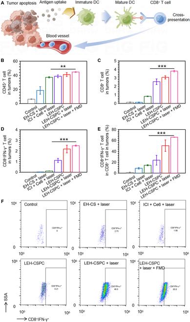 https://cdn.ncbi.nlm.nih.gov/pmc/blobs/08ac/10202191/9193c3e7d8ba/research.0098.fig.005.jpg