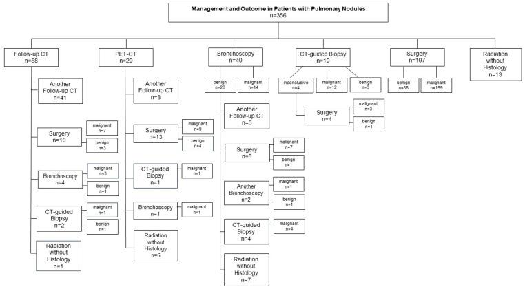 https://cdn.ncbi.nlm.nih.gov/pmc/blobs/08ac/12248454/6057b8e376af/diagnostics-15-01677-g001.jpg