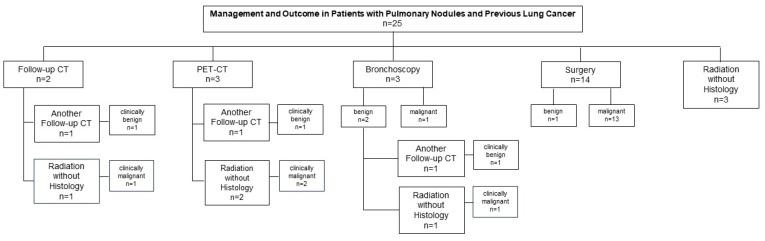 https://cdn.ncbi.nlm.nih.gov/pmc/blobs/08ac/12248454/ca28ead93089/diagnostics-15-01677-g002.jpg