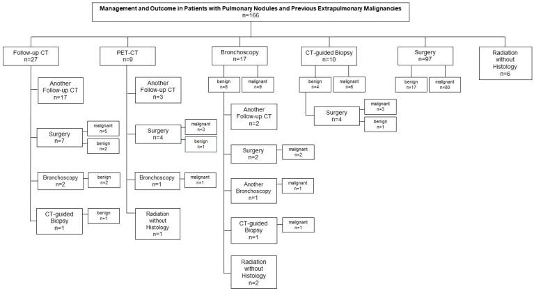 https://cdn.ncbi.nlm.nih.gov/pmc/blobs/08ac/12248454/dbfa85a89846/diagnostics-15-01677-g003.jpg