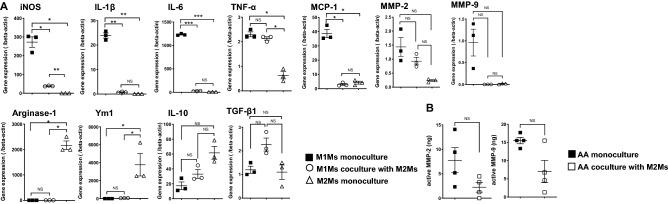 https://cdn.ncbi.nlm.nih.gov/pmc/blobs/08ad/9877022/cceb80579456/41598_2023_27412_Fig6_HTML.jpg