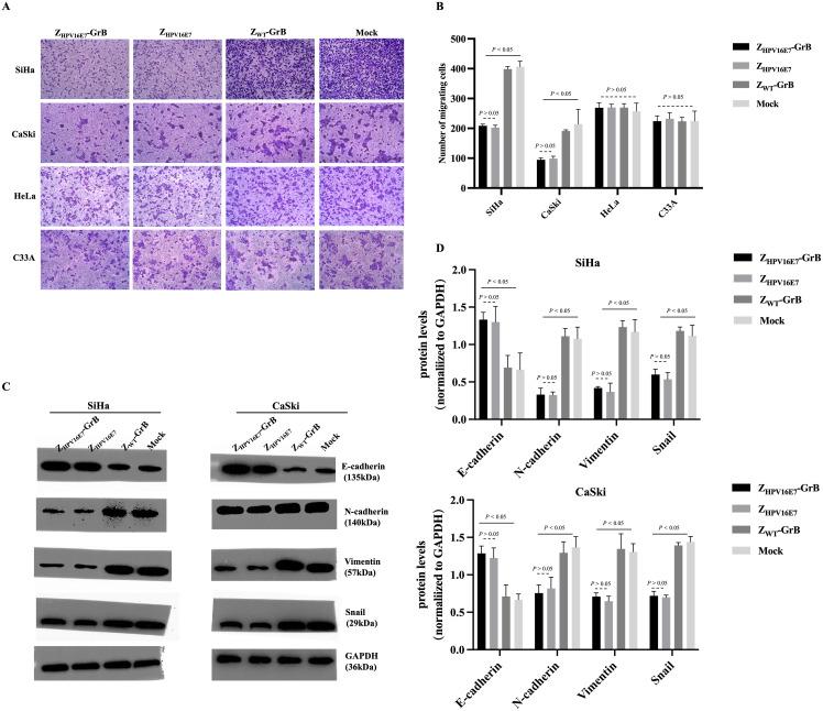 https://cdn.ncbi.nlm.nih.gov/pmc/blobs/08af/12319584/32e2f0ed14a8/fimmu-16-1616715-g004.jpg