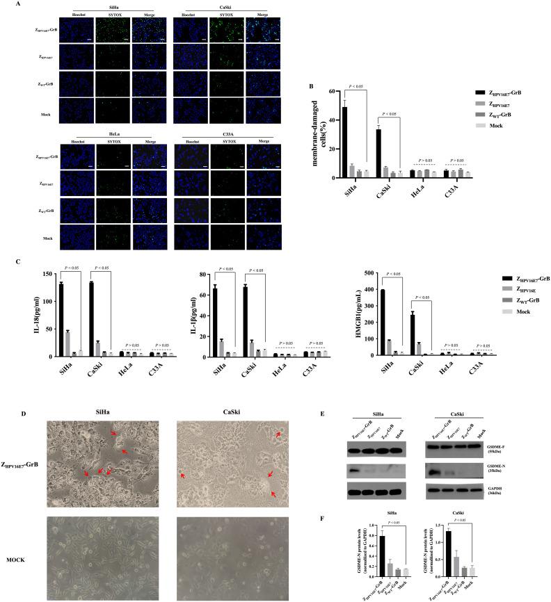 https://cdn.ncbi.nlm.nih.gov/pmc/blobs/08af/12319584/4977f0dd2274/fimmu-16-1616715-g006.jpg