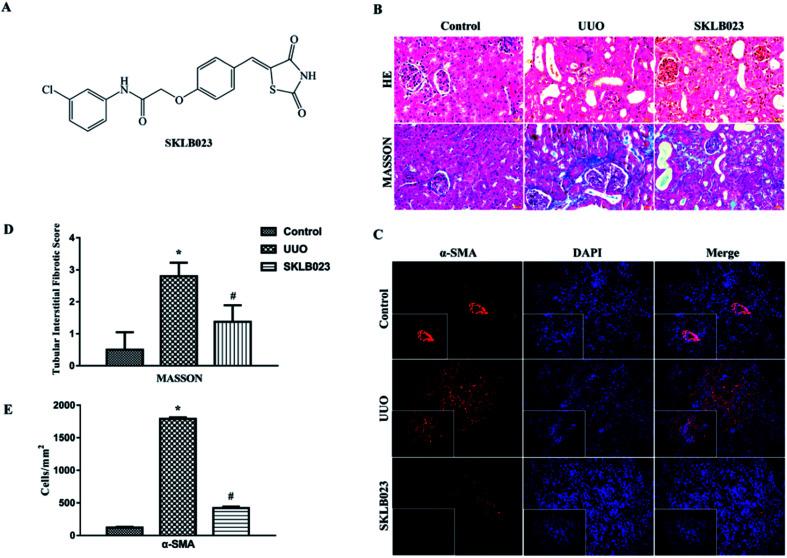 https://cdn.ncbi.nlm.nih.gov/pmc/blobs/08af/9091184/c93a798bbdc2/c8ra08049f-f1.jpg