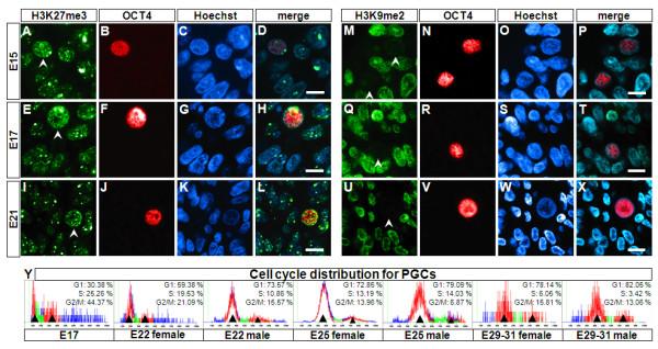 https://cdn.ncbi.nlm.nih.gov/pmc/blobs/08b0/3051914/193aa5d86ea7/1471-213X-11-11-5.jpg