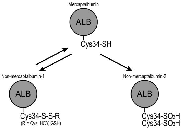 https://cdn.ncbi.nlm.nih.gov/pmc/blobs/08b1/5793245/0b5d8e50838c/nutrients-10-00017-g001.jpg