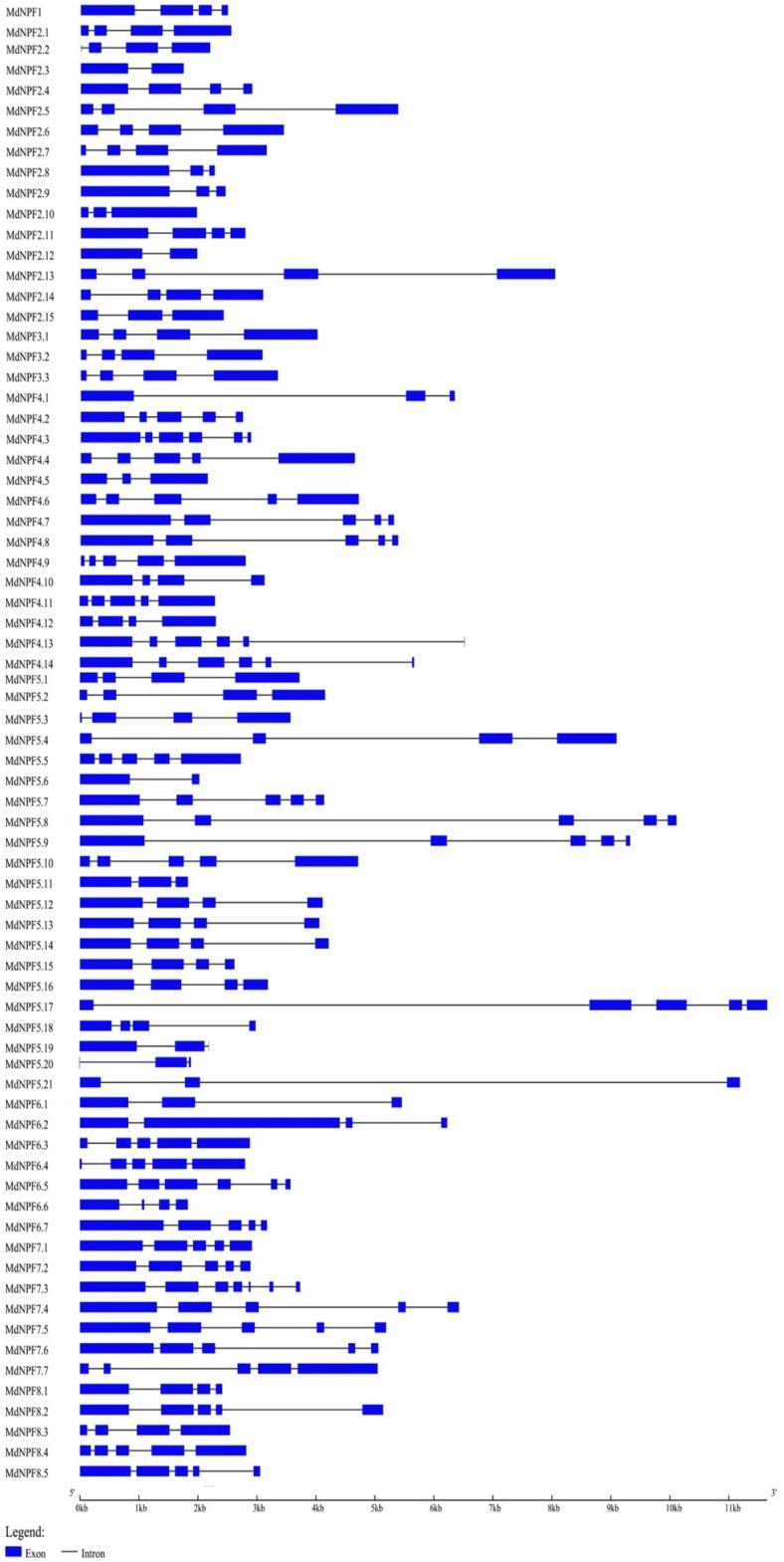 https://cdn.ncbi.nlm.nih.gov/pmc/blobs/08b2/6164405/5a44184b5605/ijms-19-02761-g004.jpg