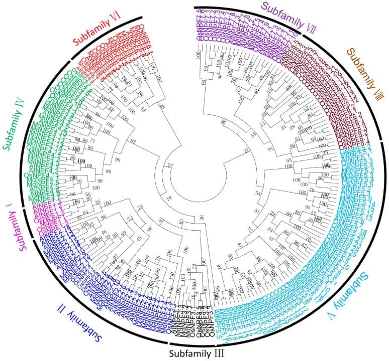 https://cdn.ncbi.nlm.nih.gov/pmc/blobs/08b2/6164405/894b000d6944/ijms-19-02761-g001.jpg