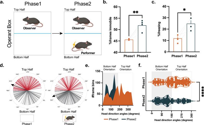 https://cdn.ncbi.nlm.nih.gov/pmc/blobs/08b4/10730531/cb46d716c368/41598_2023_49686_Fig6_HTML.jpg