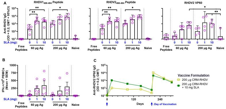 https://cdn.ncbi.nlm.nih.gov/pmc/blobs/08b7/10303064/31454a624152/vaccines-11-01043-g003.jpg