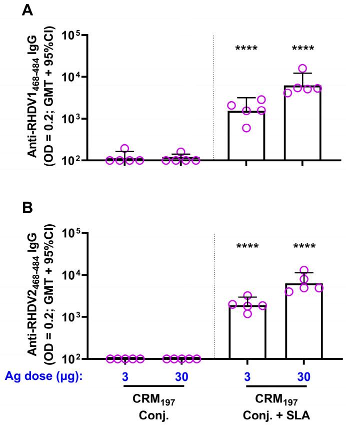 https://cdn.ncbi.nlm.nih.gov/pmc/blobs/08b7/10303064/66d53ea59ac2/vaccines-11-01043-g002.jpg