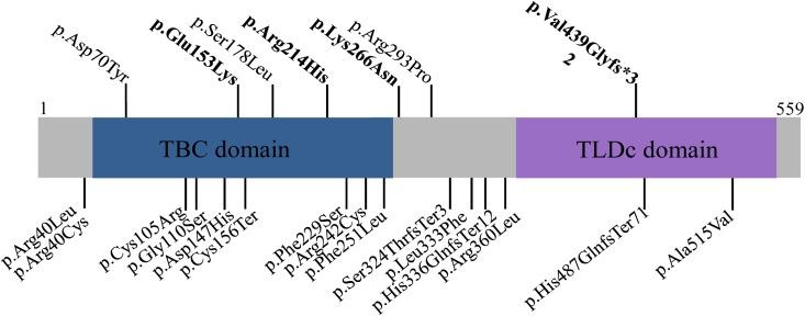 https://cdn.ncbi.nlm.nih.gov/pmc/blobs/08b7/4570774/df5d738253e7/pone.0138072.g002.jpg