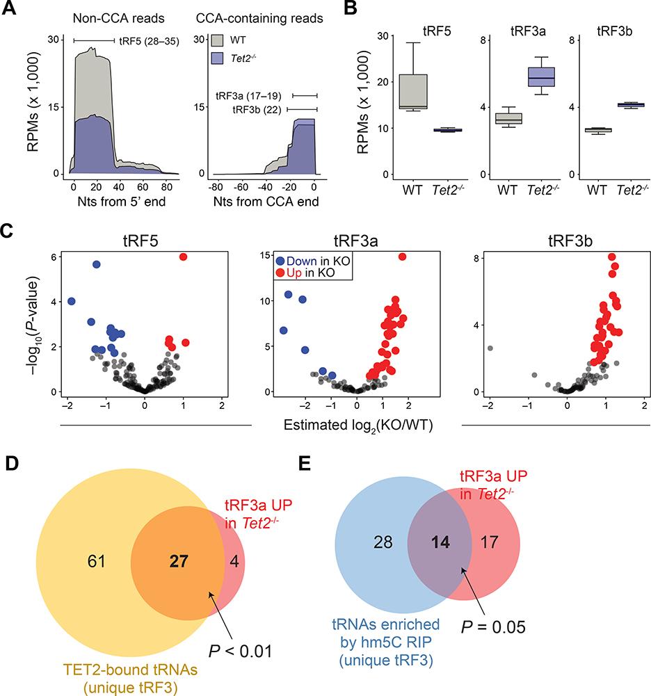 https://cdn.ncbi.nlm.nih.gov/pmc/blobs/08bc/7855721/cf23ae6c3726/nihms-1633124-f0005.jpg