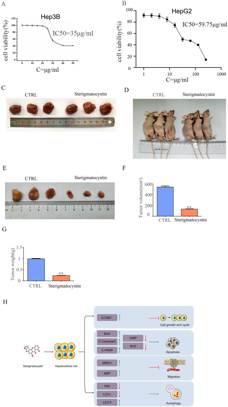 https://cdn.ncbi.nlm.nih.gov/pmc/blobs/08bd/11046247/0fc92df4490f/gr7.jpg