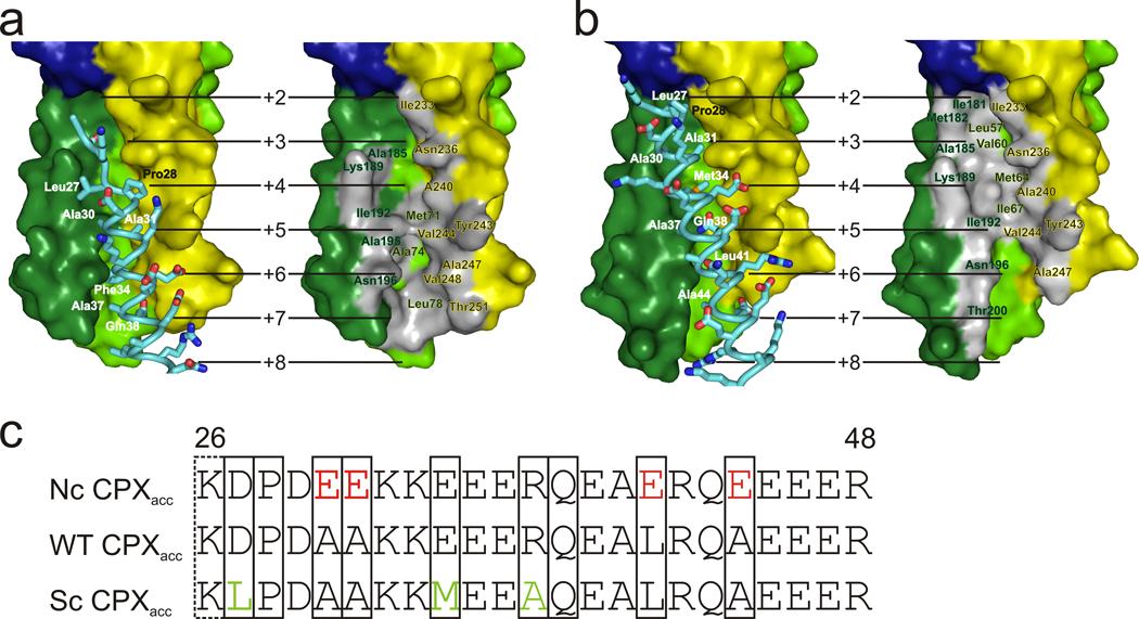 https://cdn.ncbi.nlm.nih.gov/pmc/blobs/08be/3410656/1c0c3b11bc66/nihms298047f2.jpg