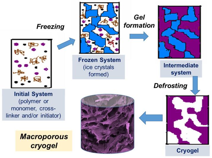 https://cdn.ncbi.nlm.nih.gov/pmc/blobs/08c1/8293244/040c933ec0d6/gels-07-00079-g001.jpg