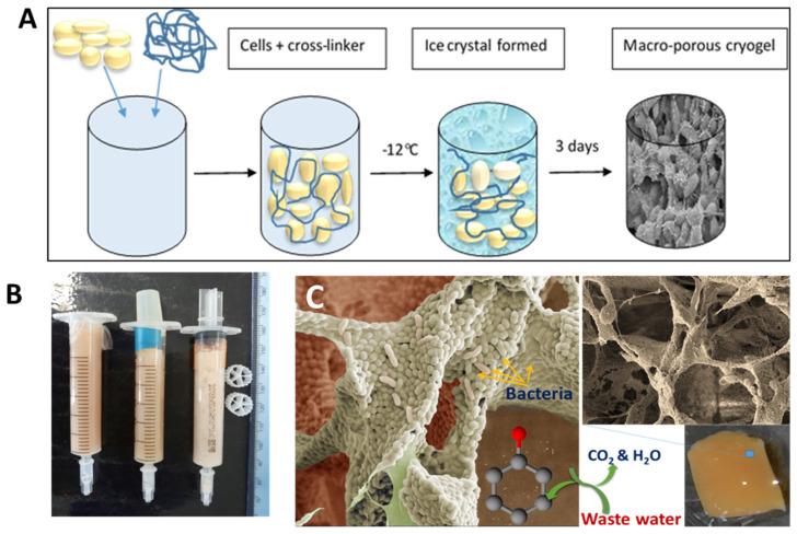 https://cdn.ncbi.nlm.nih.gov/pmc/blobs/08c1/8293244/b28911dde84e/gels-07-00079-g003.jpg