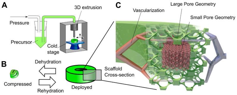 https://cdn.ncbi.nlm.nih.gov/pmc/blobs/08c1/8293244/d595cf1f6279/gels-07-00079-g004.jpg
