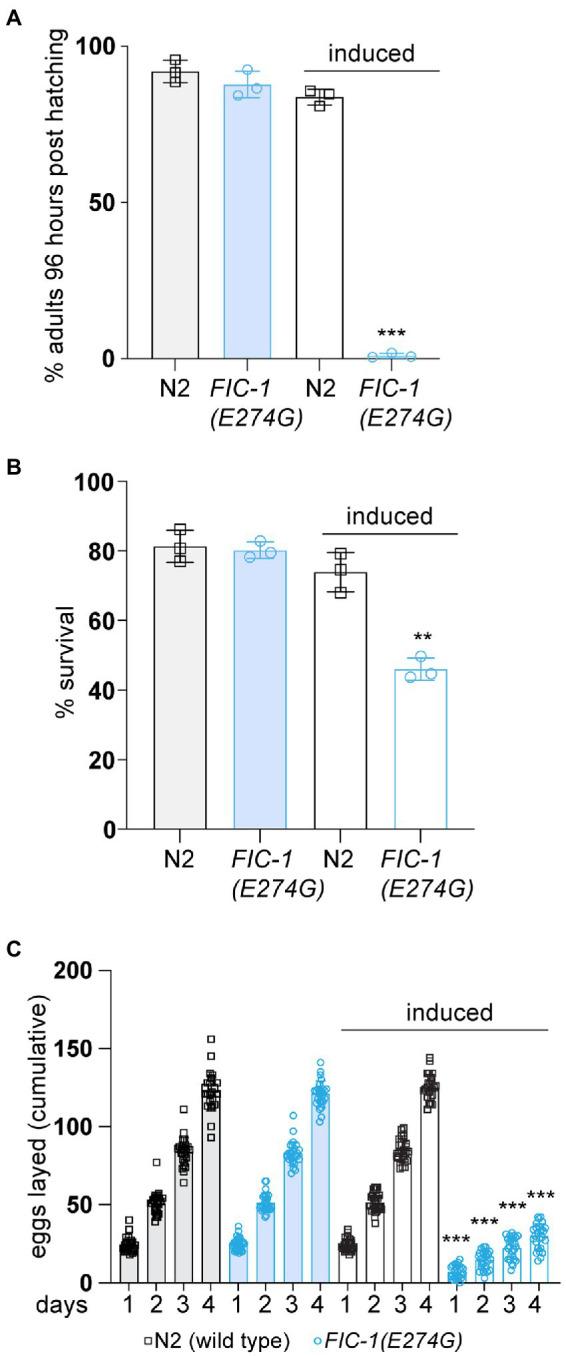 https://cdn.ncbi.nlm.nih.gov/pmc/blobs/08c1/9730714/1429872e61ae/fnmol-15-912734-g001.jpg