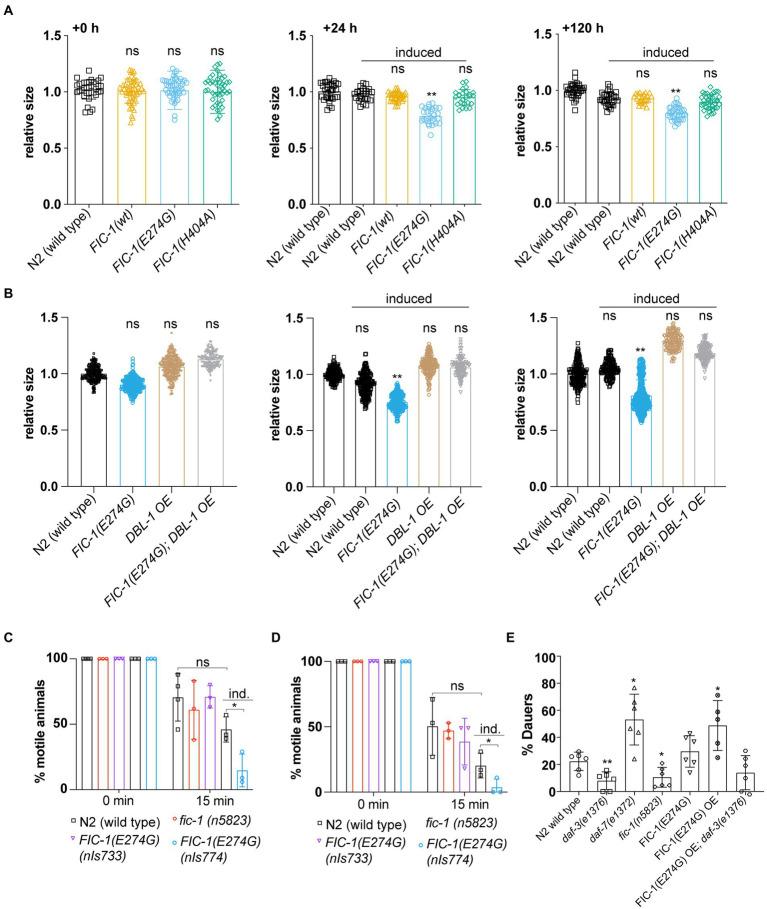 https://cdn.ncbi.nlm.nih.gov/pmc/blobs/08c1/9730714/8f69e5b7a255/fnmol-15-912734-g004.jpg
