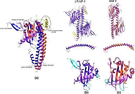 https://cdn.ncbi.nlm.nih.gov/pmc/blobs/08c2/2665062/03ea87ef6a6b/zbc0170971220002.jpg